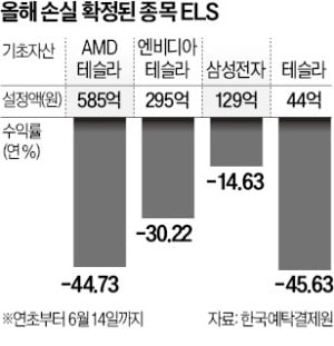 테슬라 오르는데…美 기술株 ELS -45%