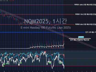 NQM2025 (E-mini Nasdaq-100 Futures) 1시간봉 기술적 분석
